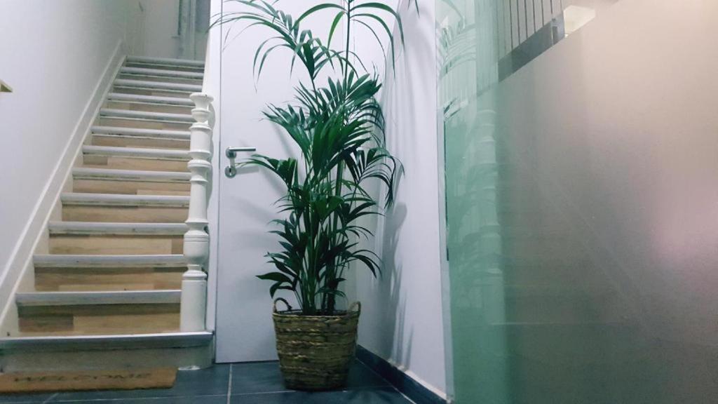 Cozy Rooms With Share The Bathroom And Kitchen Брюссель Экстерьер фото